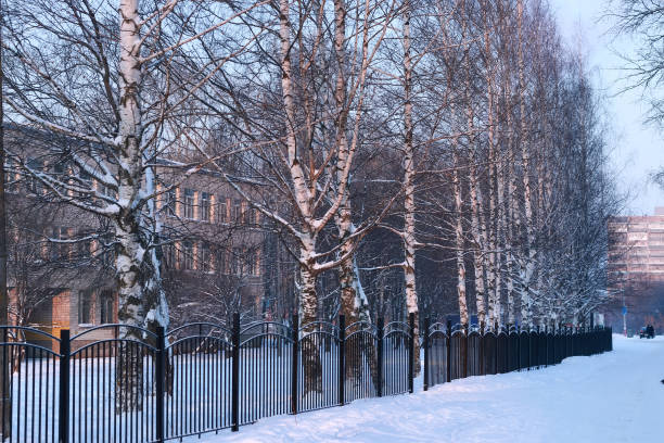 istock winter landscape iron fence at sunset 1186892106
