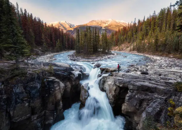 Sunwapta Falls is pair of of the Sunwapta river with traveler standing in autumn forest at sunset. Icefields Parkway, Jasper national park