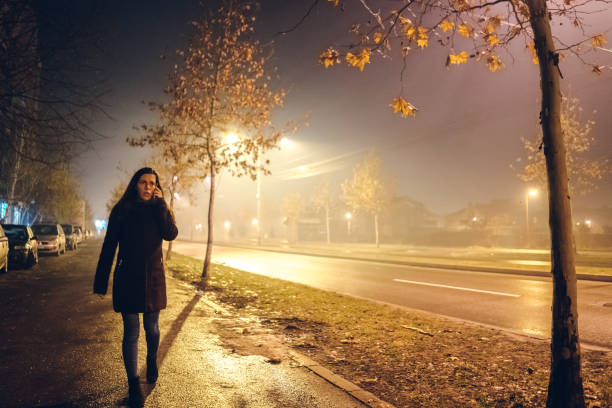 istock Alone in the fog 1186892801