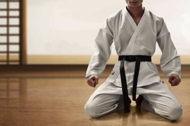 istock Karate martial arts fighter sitting 1186893575