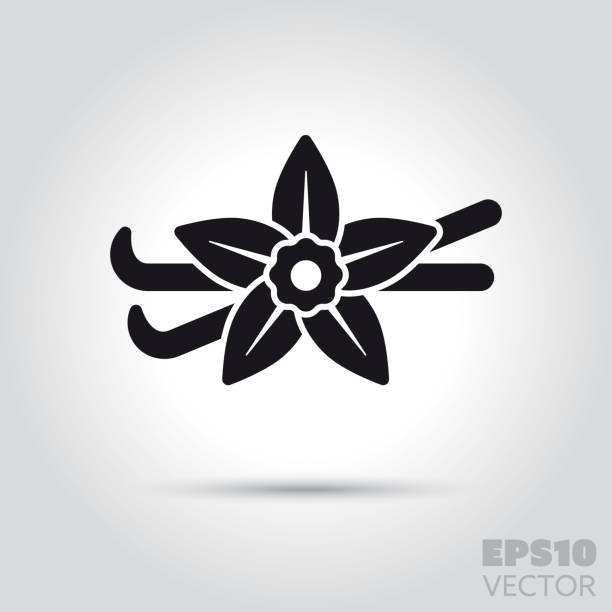 vanilla blossom and pods vector icon Vanilla pods and flower solid icon. Glyph symbol of blossom and spice. food ingredient flat vector illustration. vanilla stock illustrations