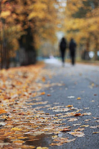 istock Autumn rain in the park 1186896644