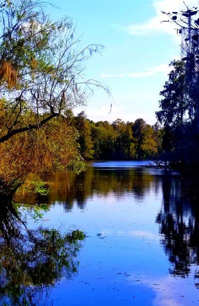 istock Autumn afternoon on the Hillsborough River 1186897702