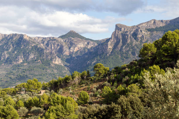 istock Serra de Tramuntana mountains 1186897753