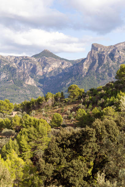 istock Serra de Tramuntana mountains 1186897817