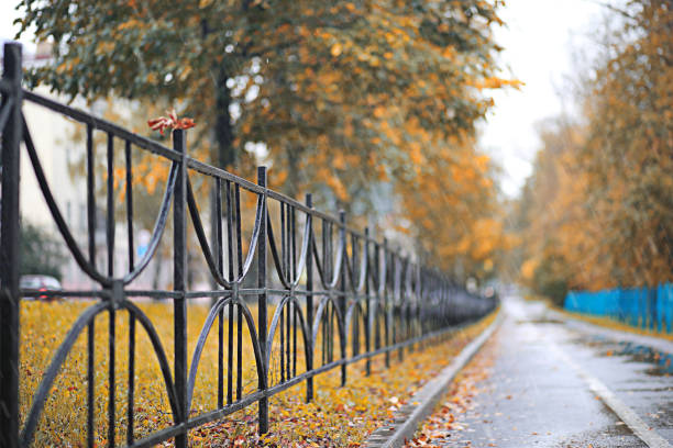 istock Autumn rain in the park 1186899407