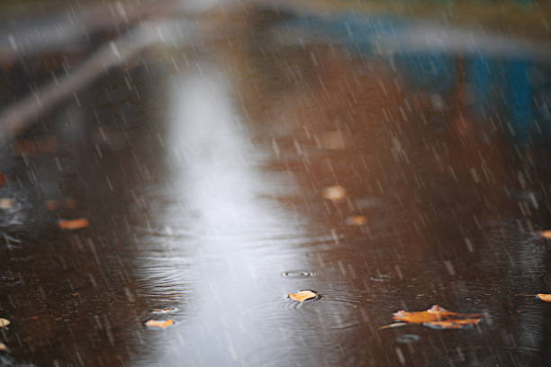 istock Autumn rain in the park 1186899432