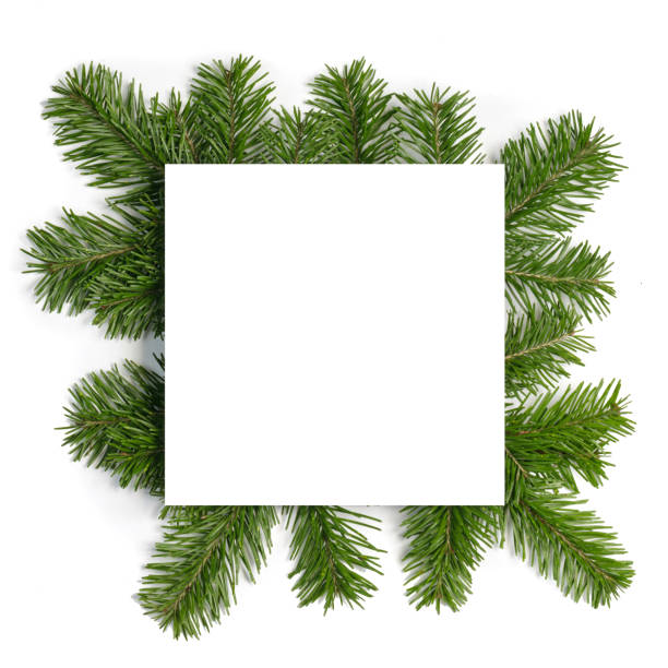 istock Christmas border of fir branches 1186899576