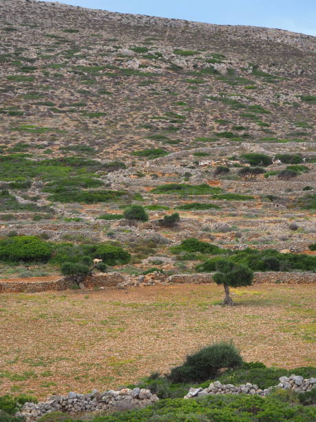 istock arid mediterranean countryside in Folegandros 1186900739