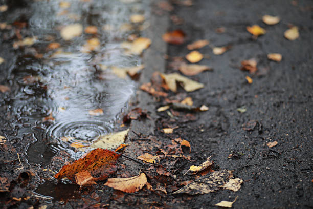 istock Autumn rain in the park 1186900762