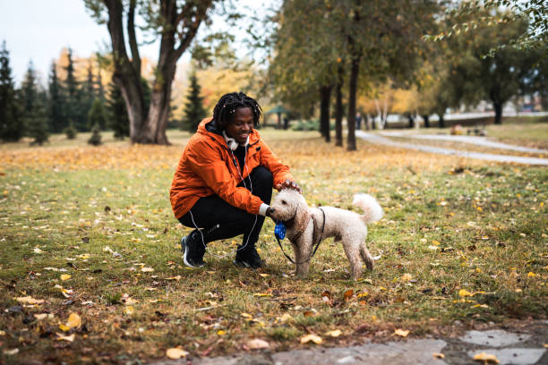 istock Man cuddling his dog in autumn park 1186900873