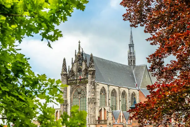 Hooglandse Kerk, old protestant gothic style cathedral, partly hidden in the foliage, Leiden, The Netherlands