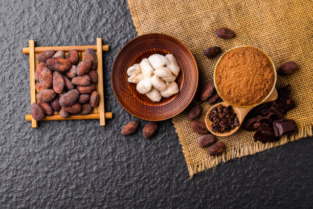 istock Dark chocolate pieces crushed and cocoa beans, top view 1186902811