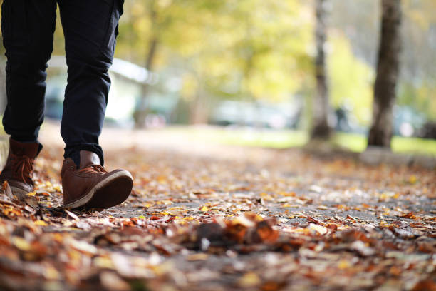 Autumn Park man walking along a path foliage