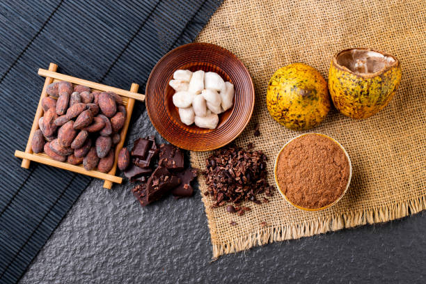 istock Dark chocolate pieces crushed and cocoa beans, top view 1186906364