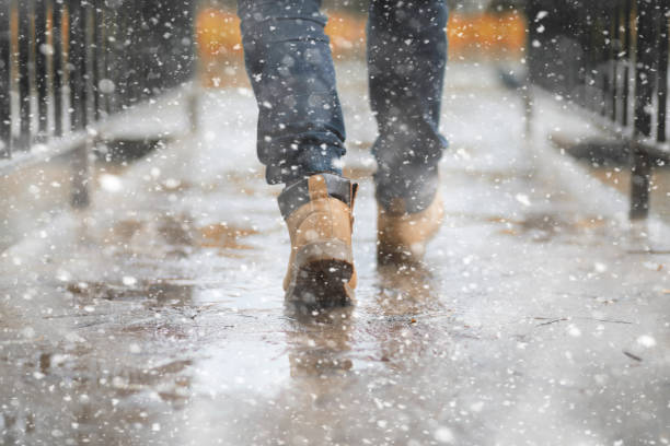 istock Autumn park in the first snow 1186907133