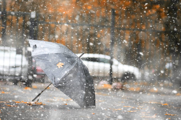 istock Autumn park in the first snow 1186907790