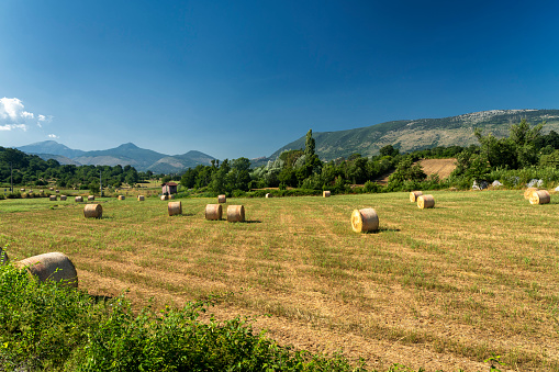Rural landscape near Prossedi, Latina, Lazio, Italy at summer