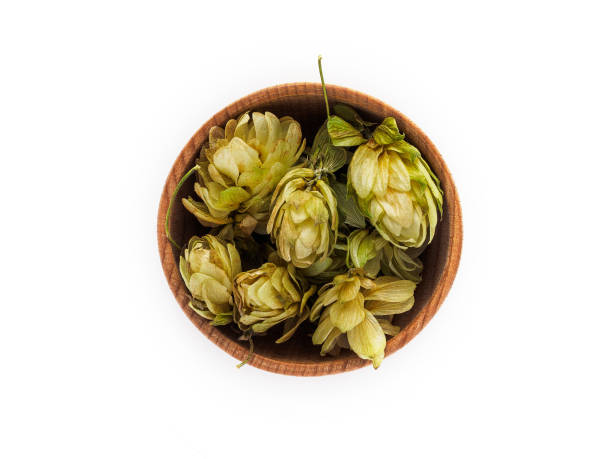 istock Dry Humulus in wooden Cup on white background 1186912012
