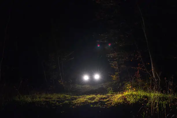 Photo of Car headlamp light in night forest
