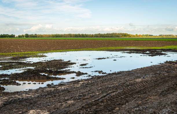 istock Wet field with puddles 1186912530