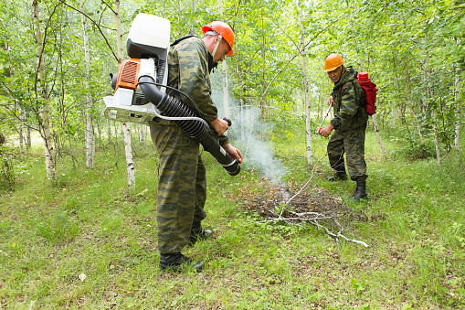 Forest firefighters conduct exercises to prevent a fire in the forest. Firemen put out fire in the forest