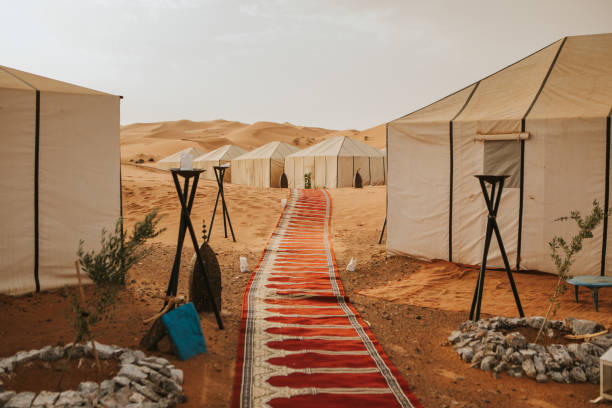 istock Beautiful desert camp on the sand at sunset. 1186914645