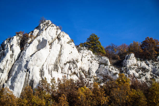 Limestone walls and forest in autumn