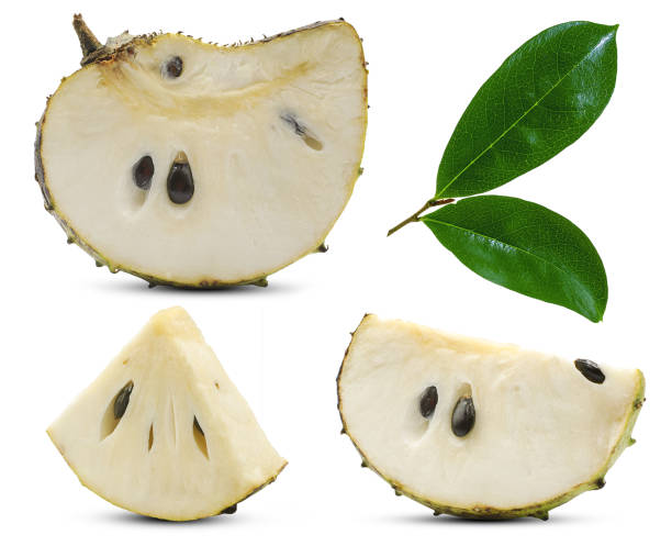 Soursop, Prickly Custard Apple isolated on white Soursop, Prickly Custard Apple isolated on white annona muricata stock pictures, royalty-free photos & images