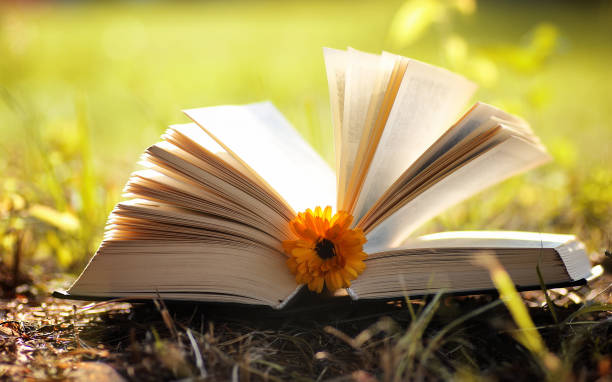 istock opened book in yellow autumn 1186915766