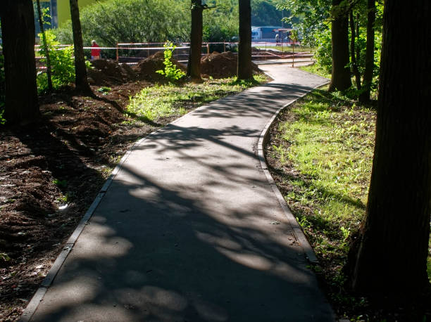 istock sunlight from the trees in the Park in summer 1186915883