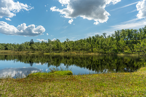 Beautiful summer view of a small lake or tarn, far up in the northern part of Sweden. On a sunny summer day with blue sky, green trees and sunlight