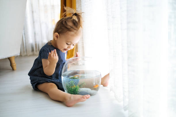 istock Cute child is feeding his goldfish 1186918982
