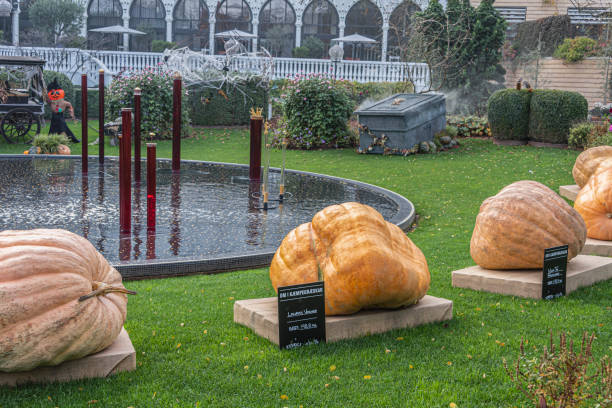 Copenhagen, Denmark, October 25, 2019: Tivoli Gardens opens every year for Halloween with friendly ghosts, spiders, scarecrows and over 20,000 pumpkins that provide the setting for Garden’s atmospheric autumn season. The largest pumpkin competition takes place every year in the park.