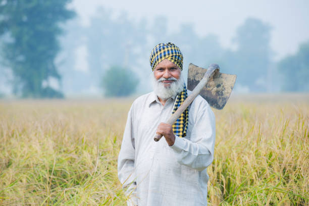 retrato de agricultor en la foto de caldo de trigo - punjab fotografías e imágenes de stock