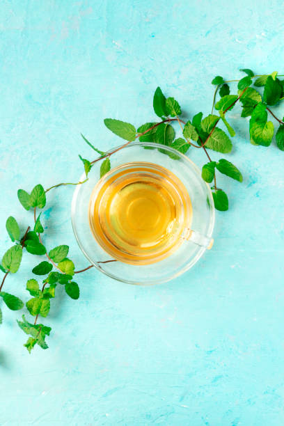 istock Mint tea cup, overhead shot on a blue background with fresh mint leaves and a place for text 1186919466