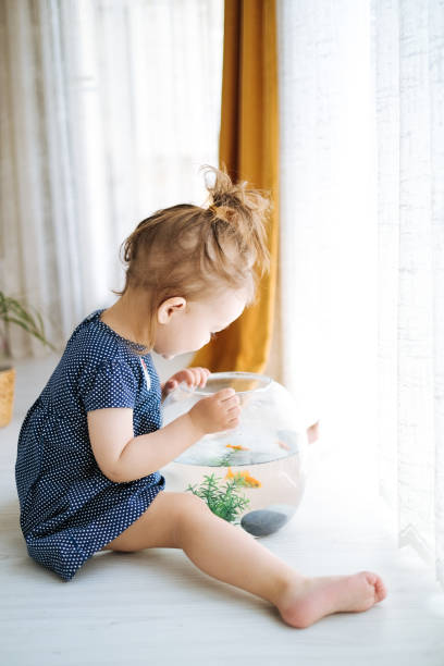 istock Cute child is feeding his goldfish 1186919605