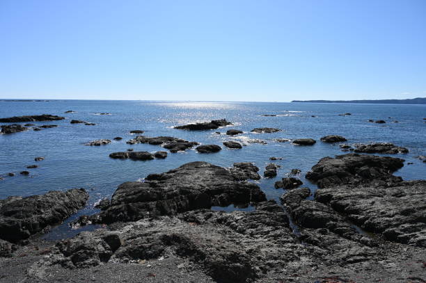 istock coastline kusimono in late summer 1186919691