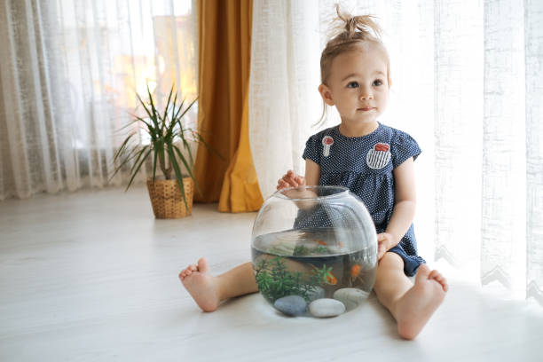 istock Cute child is feeding his goldfish 1186920782