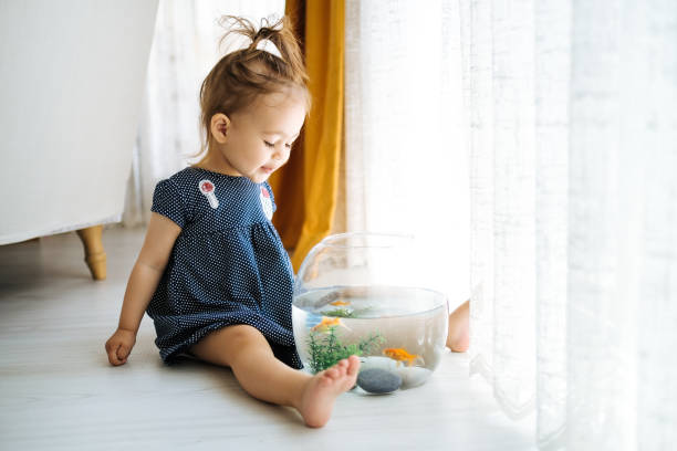 istock Cute child is feeding his goldfish 1186921124