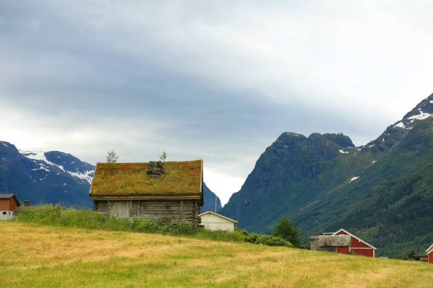 istock Norwegian small house with a grass on a roof 1186921254
