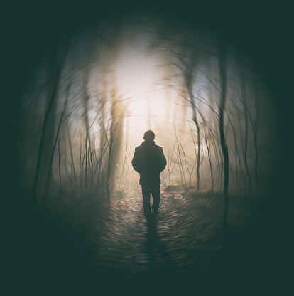 A man walks along a path running through a misty, dream-like forest.
