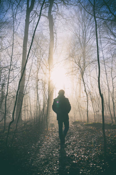 istock Taking A Walk In The Woods 1186921695