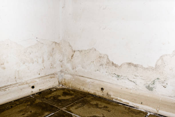 flooding rainwater or floor heating systems, causing damage, peeling paint and mildew. - water damaged stained concrete imagens e fotografias de stock