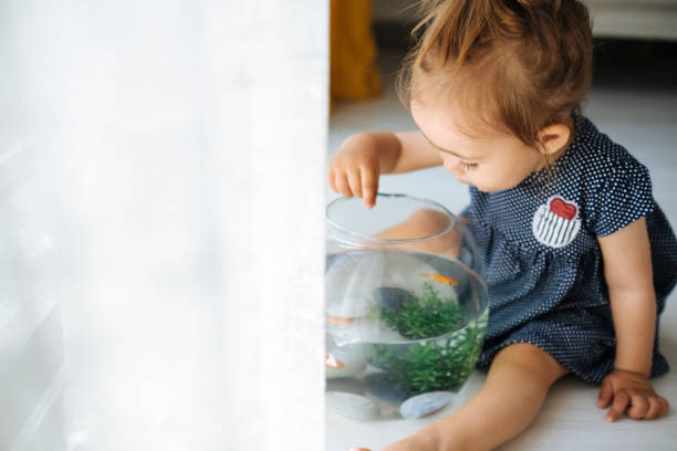 istock Cute child is feeding his goldfish 1186921867