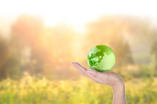 istock Globe ,earth in human hand. Earth image provided by Nasa 1186923786