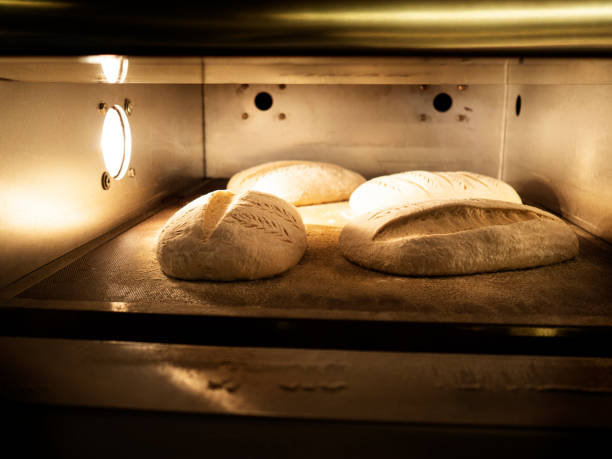 istock Fresh raw dough bread background, Fresh bread in bakery factory, yeast dough,Sourdough bread dough loaves fermenting,Conveyor Belt of Bun Production,Bread baking in the oven, 1186924178