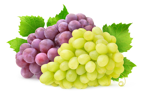 Isolated two grape varieties. Bunch of white and red grapes with leaves isolated on white background with clipping path