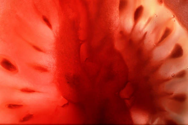 istock Red tomato cut in half with the texture of seeds 1186926020