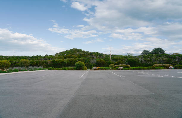 istock Empty street with trees and sky background 1186927707